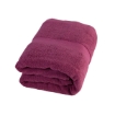 Picture of Paragon Bath Towel 70X140CM, 10009288